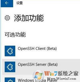 OpenSSh是什么?win10如何安裝OpenSSh?