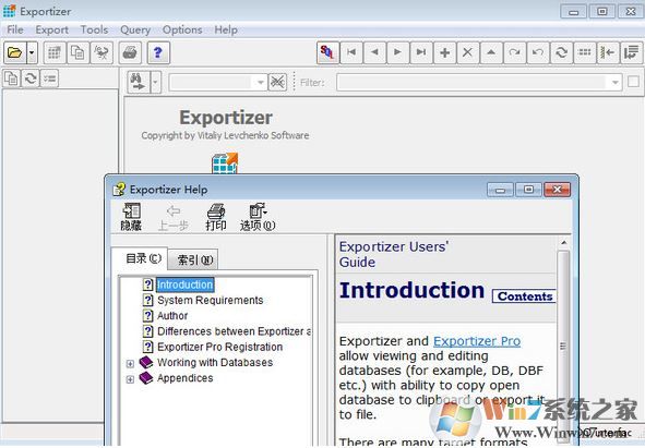 Exportizer漢化版_Exportizer(數(shù)據(jù)庫導(dǎo)出工具) v8.0.4綠色版