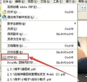 PDF格式怎么打印？pdf文件快速打印的操作方法