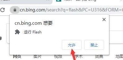 win10系統(tǒng)谷歌瀏覽器【已禁止在此網(wǎng)頁(yè)上運(yùn)行 Flash】的解決方法