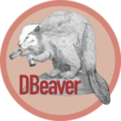 dbeaver下載_DBeaver數(shù)據(jù)庫軟件中文版