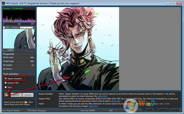 照片修復工具JPEG-Repair v2.8.7.5綠色版