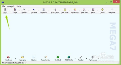 mega進(jìn)化樹軟件