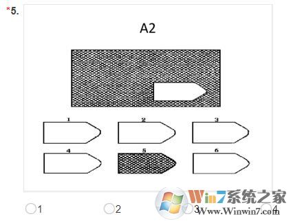 智力測(cè)試軟件下載_瑞文智力測(cè)試綠色版