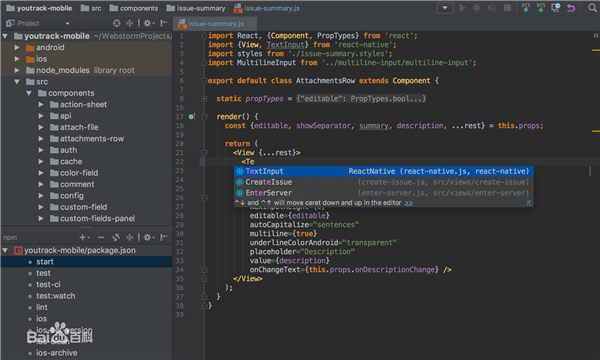 WebStorm