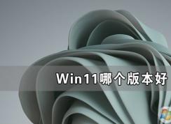 Win11系統(tǒng)哪個版本好用,Win11最好用的版本介紹