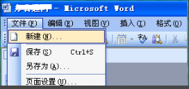 Microsoft Office 2003