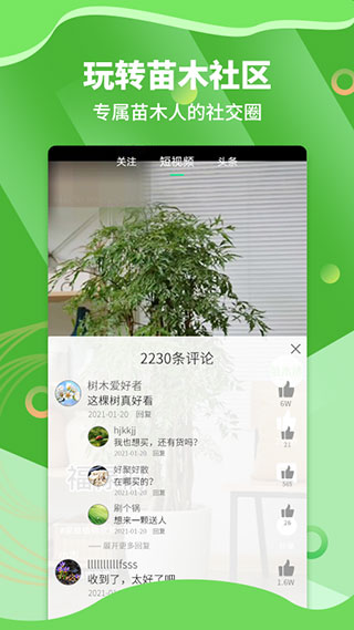 苗木通APP