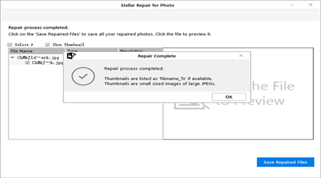 Stellar Repair for Photo(圖片恢復(fù)工具)