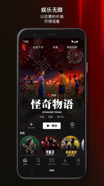 Netflix專業(yè)版