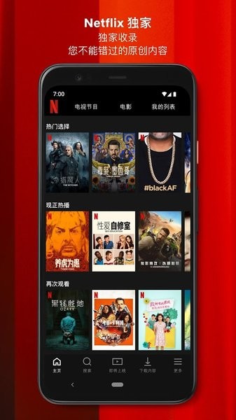 Netflix專業(yè)版