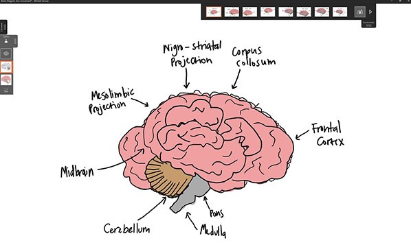 Mental Canvas(3D繪畫軟件)正式版