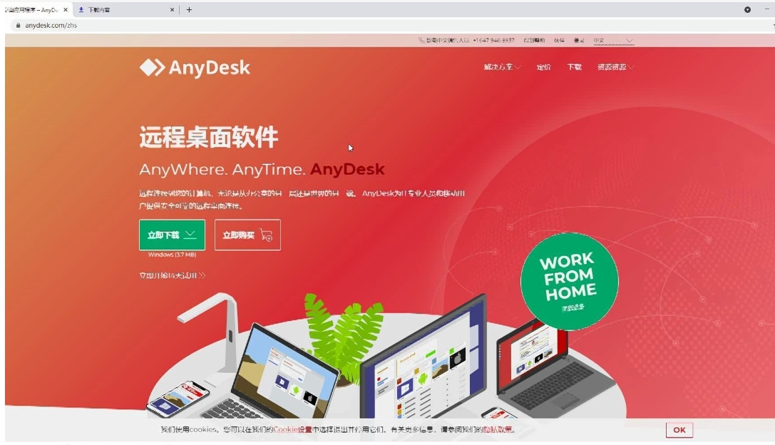 AnyDesk中文版