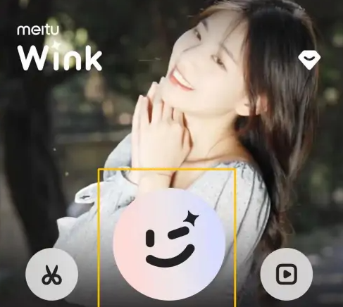 Meitu Wink app專業(yè)版